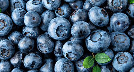 Blueberry Extract